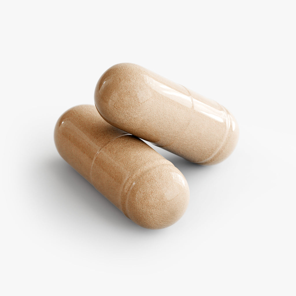The Portfolio | Ten-Strain Mushroom Complex