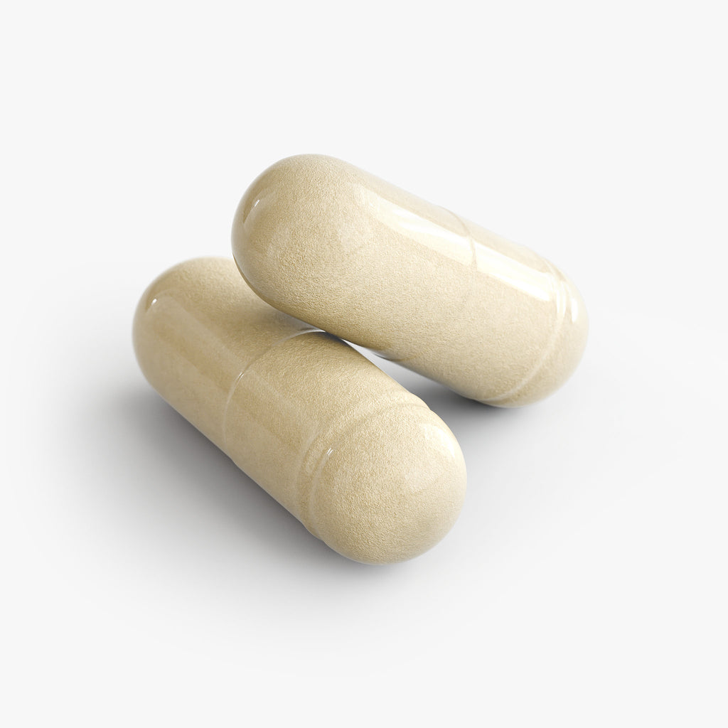 The Daily Digest: Gut Health Support